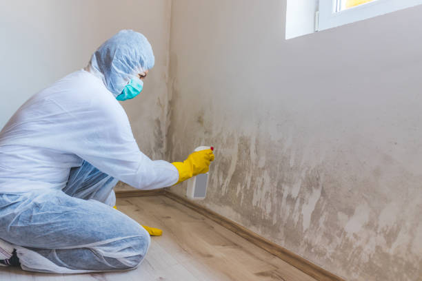 Licensed Mold Remediation service in Ramsey, NJ - WQB Mold Removal