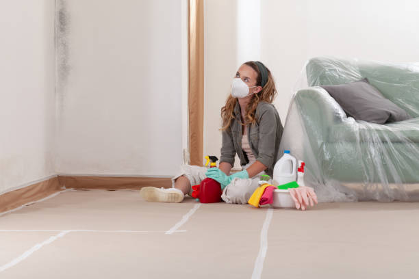 Reliable Mold Remediation contractor in Ramsey, NJ by WQB Mold Removal